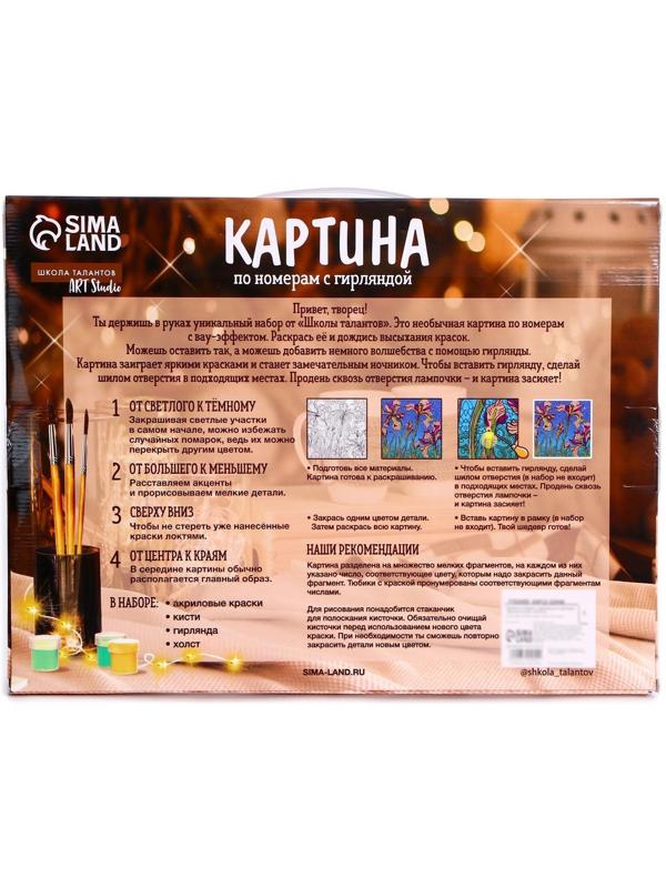 Картина по номерам на раме, с гирляндой «Платье», 30х40 см