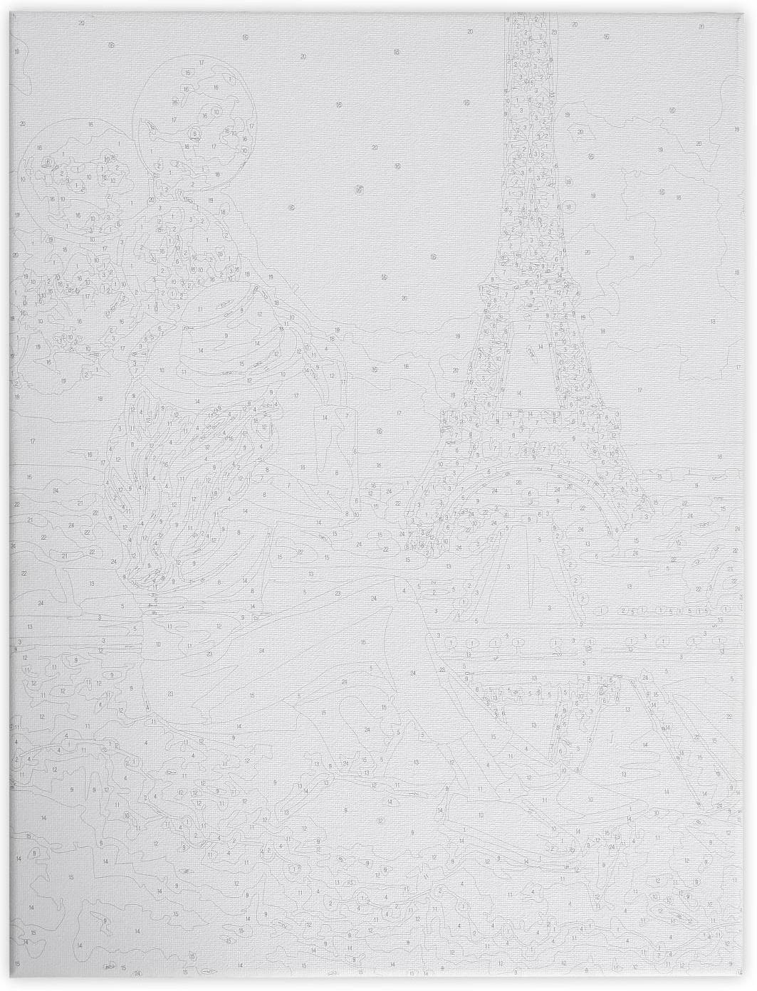 Картина по номерам на раме, с гирляндой «Эйфелева башня», 30х40 см