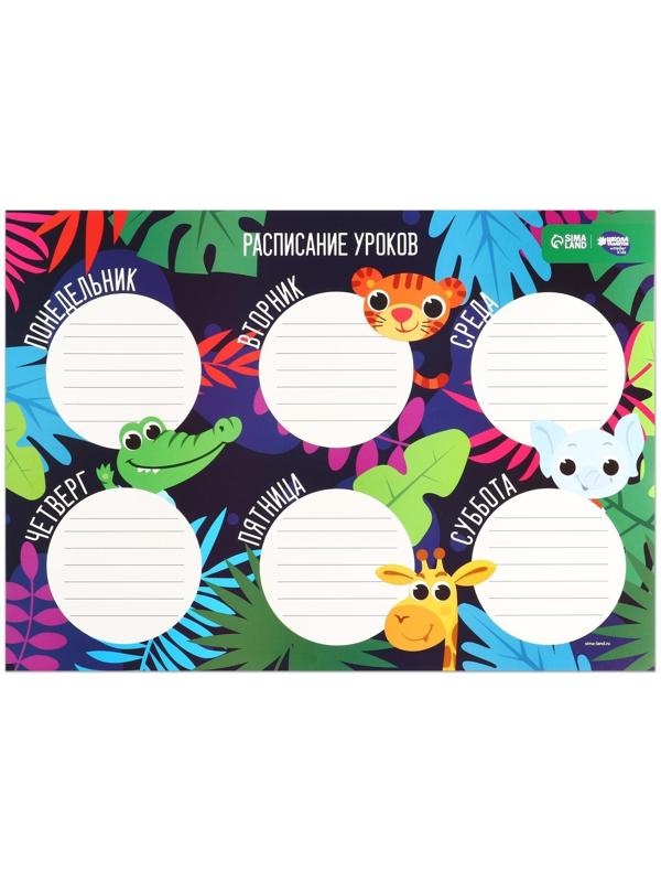 Расписание уроков «Приключение в джунглях» А3