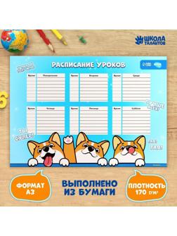 Расписание уроков «Корги Джекки» А3