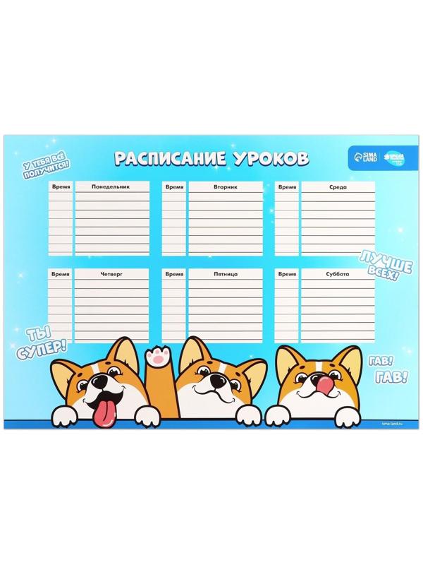 Расписание уроков «Корги Джекки» А3