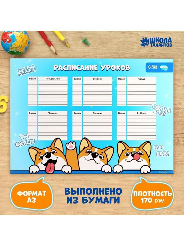 Расписание уроков «Корги Джекки» А3