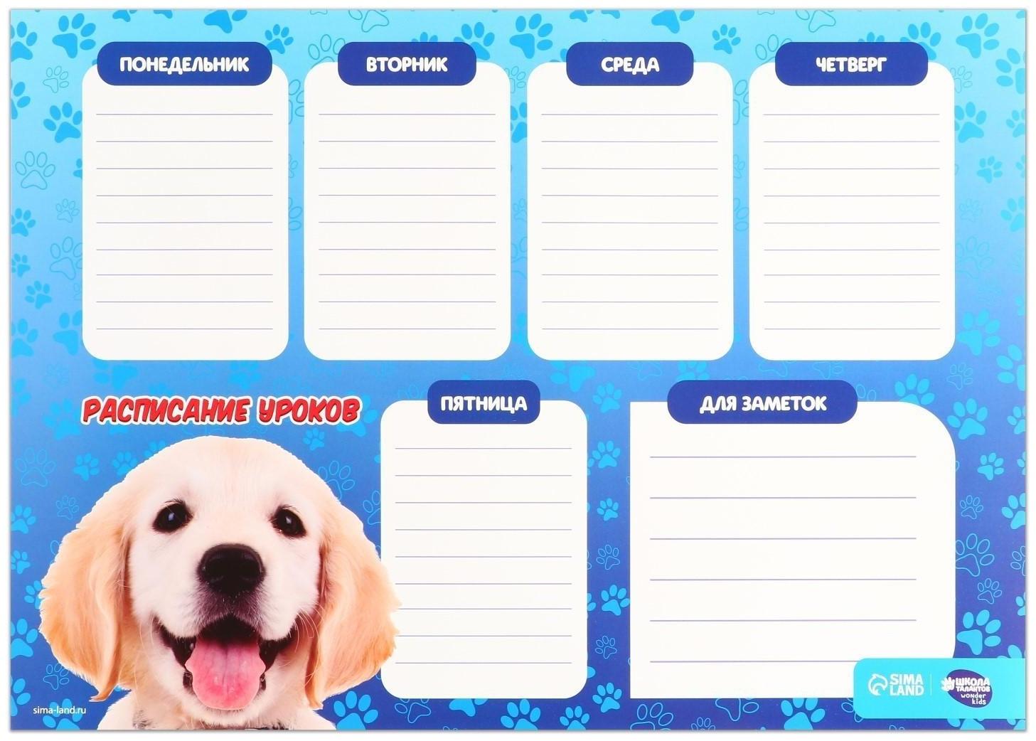 Расписание уроков «Лучезарный пёс» А3