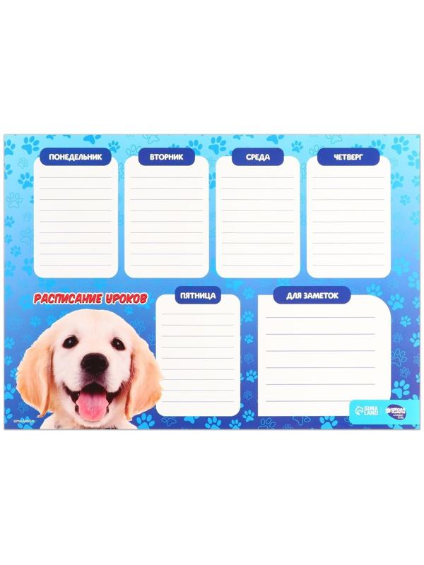 Расписание уроков «Лучезарный пёс» А3