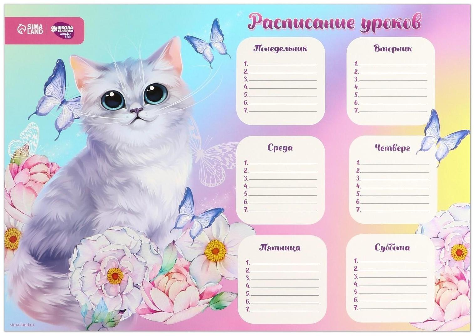 Расписание уроков «Воздушное чудо» А3