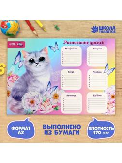 Расписание уроков «Воздушное чудо» А3