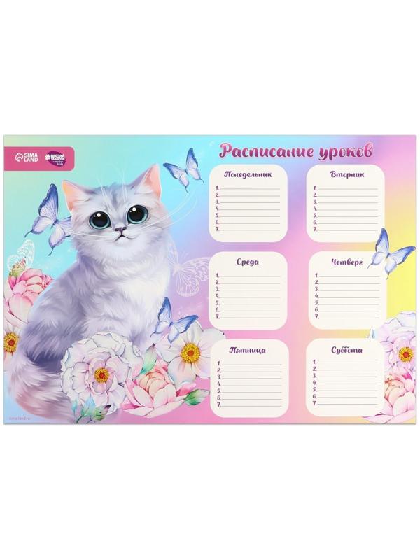 Расписание уроков «Воздушное чудо» А3