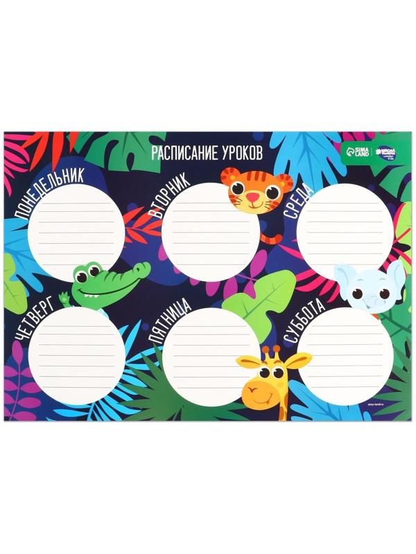 Расписание уроков «Хорошей учёбы» А3 МИКС