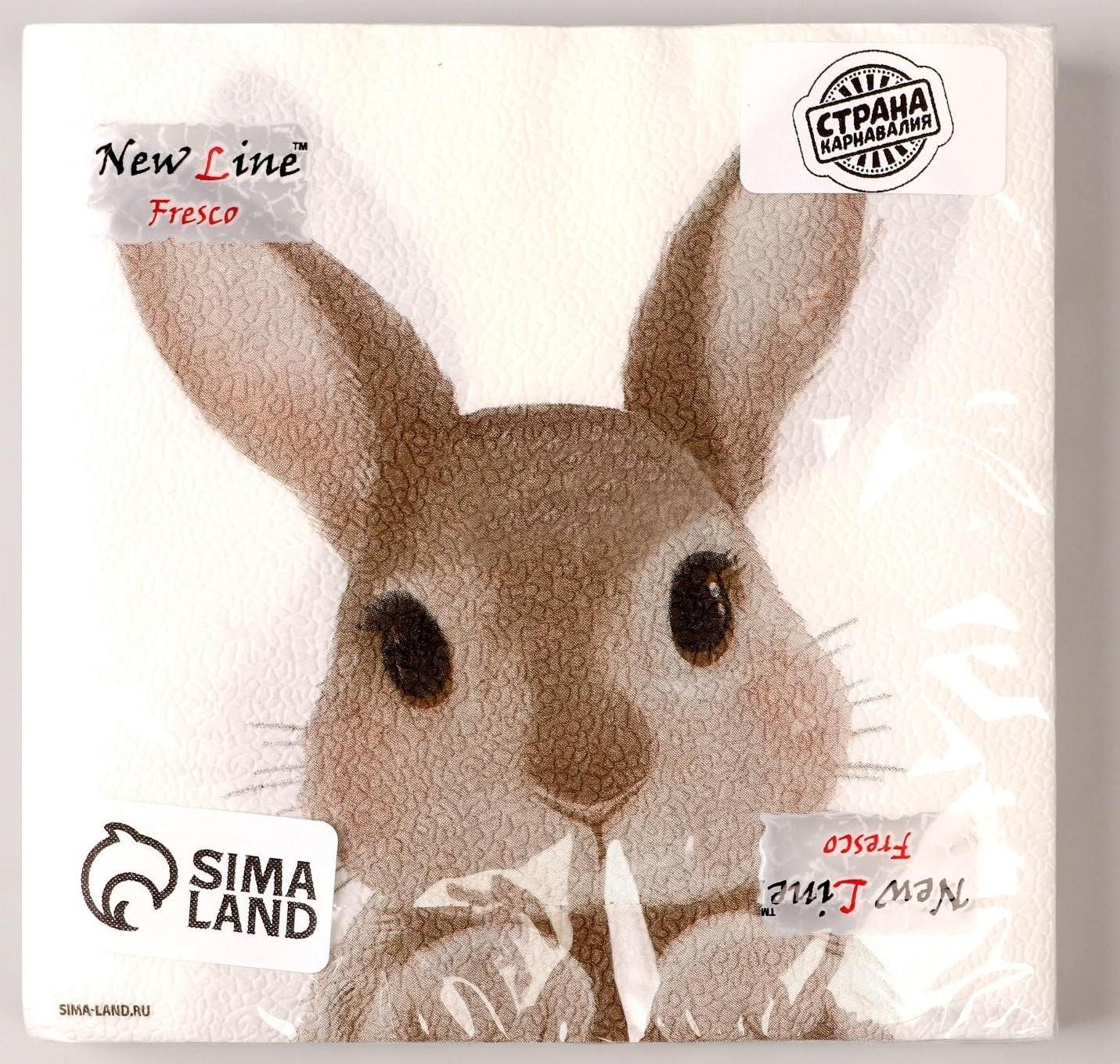 Салфетки бумажные однослойные «Кролик», 33 х 33 см, набор 20 штук