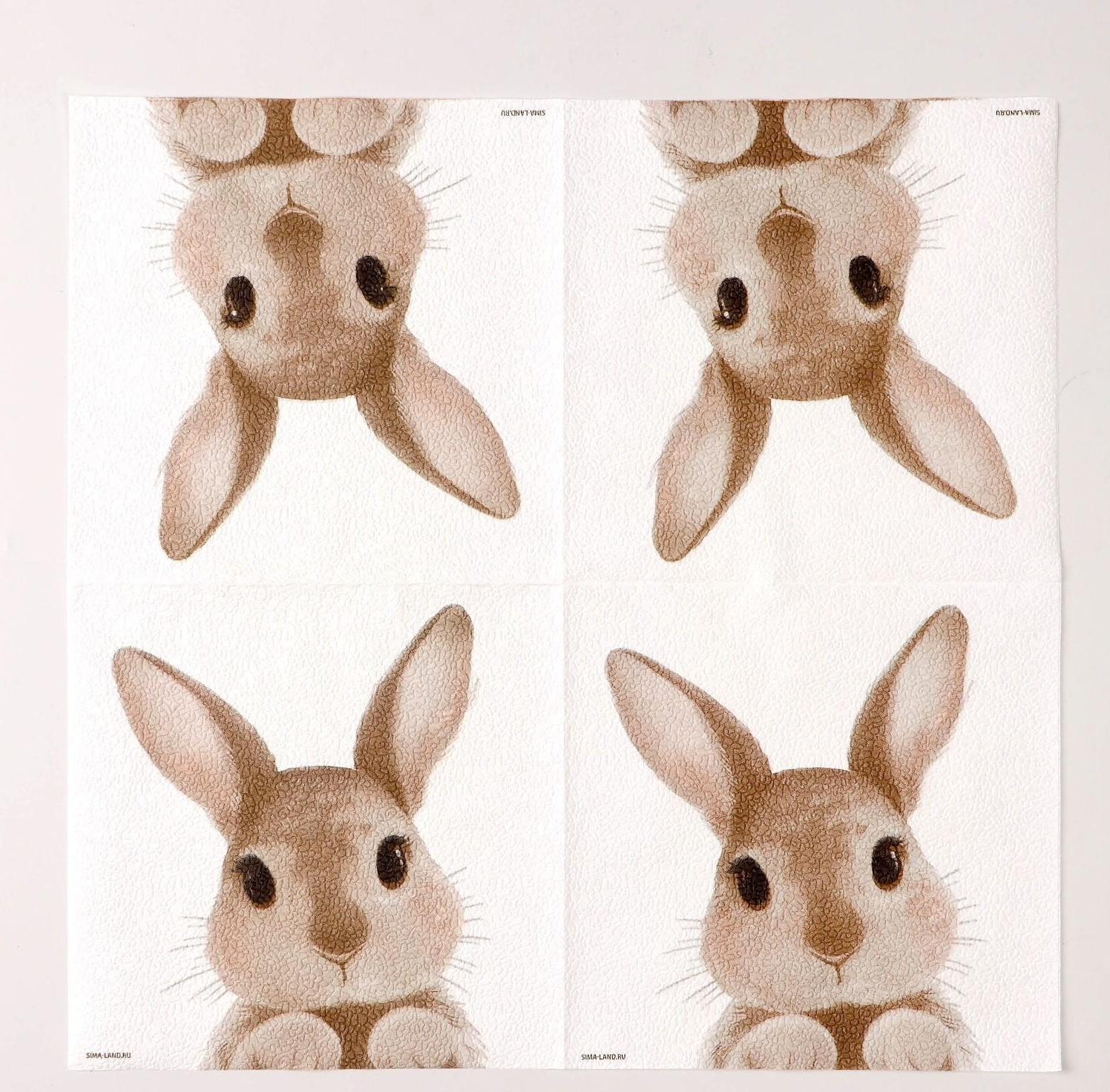 Салфетки бумажные однослойные «Кролик», 33 х 33 см, набор 20 штук