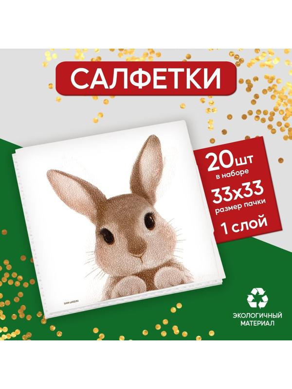 Салфетки бумажные однослойные «Кролик», 33 х 33 см, набор 20 штук