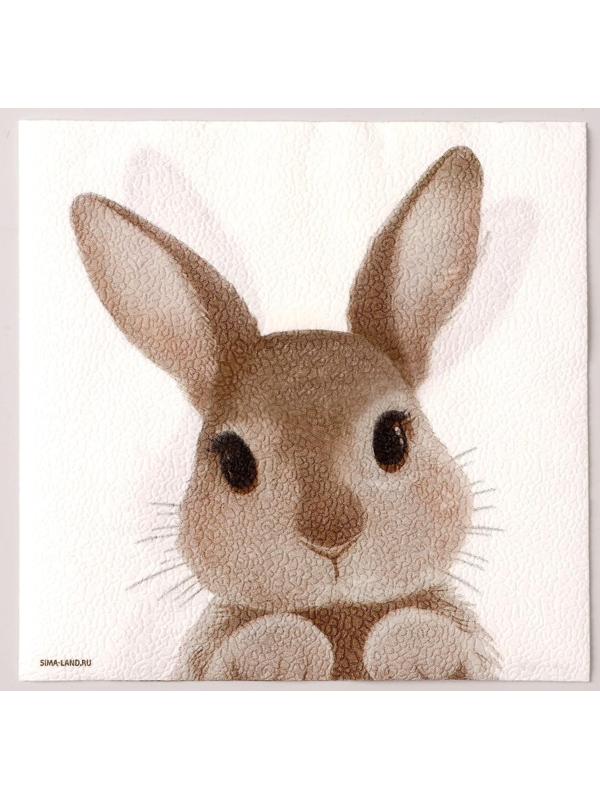 Салфетки бумажные однослойные «Кролик», 33 х 33 см, набор 20 штук
