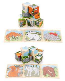 Куб.9 Животные леса