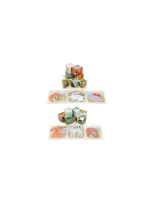 Куб.9 Животные леса