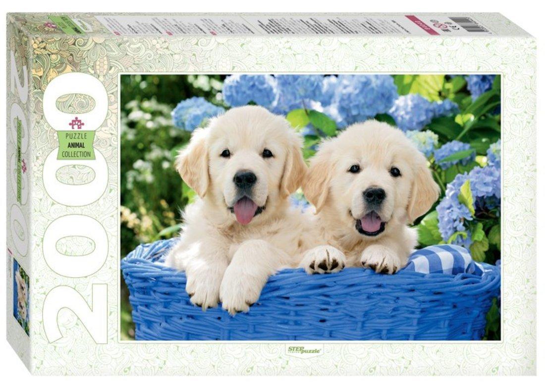 Пазлы 2000 Щенята в корзине