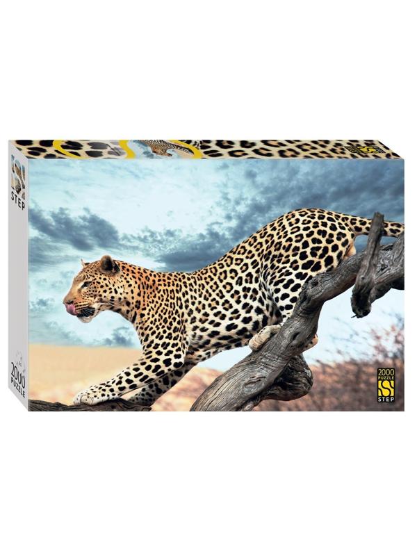 Пазлы 2000 Леопард в дикой природе