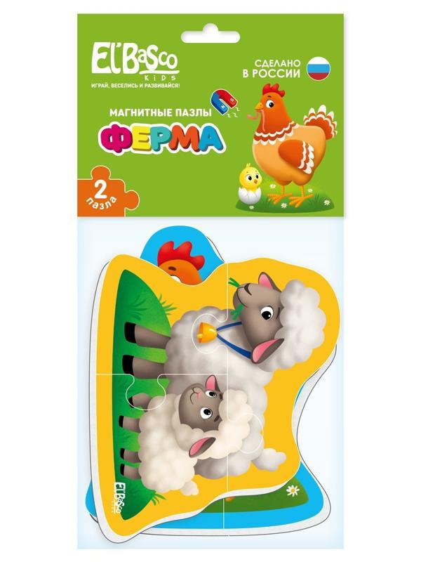 Магнитный пазл Ферма