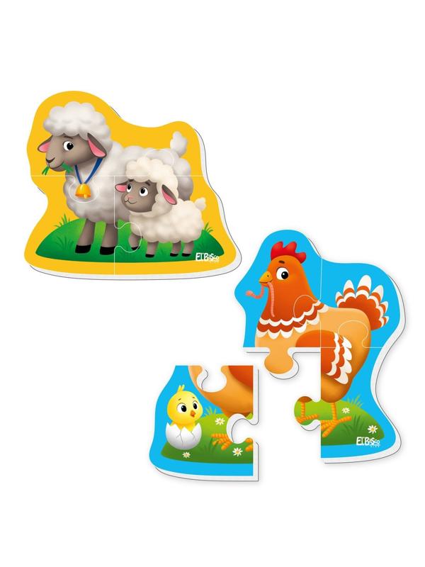 Магнитный пазл Ферма