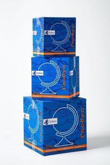 Глобус Земли физико-политический рельефный с подсветкой, D-250 мм