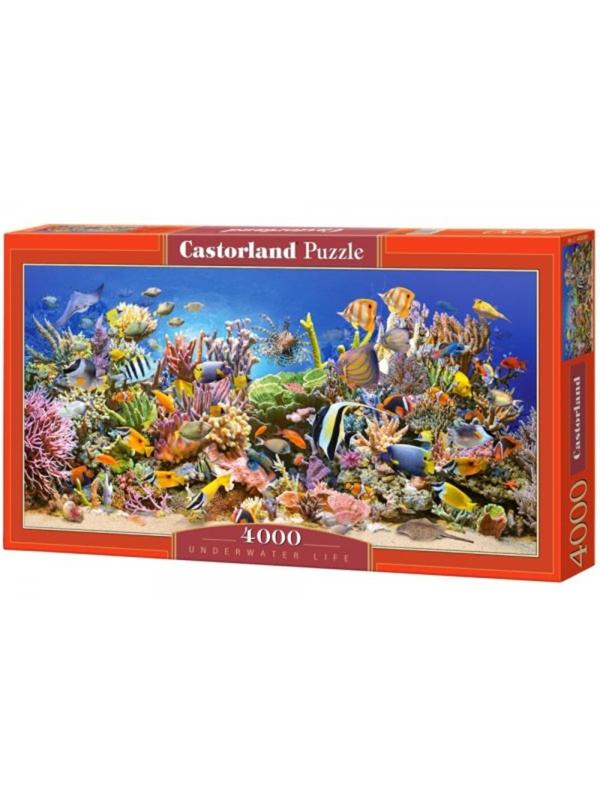 Пазлы 4000 Подводный мир