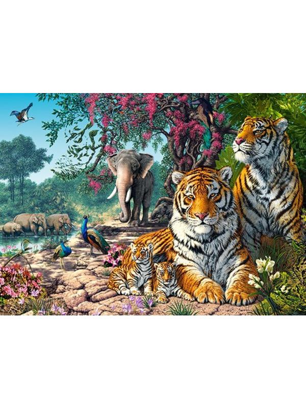 Пазлы 300 Заповедник