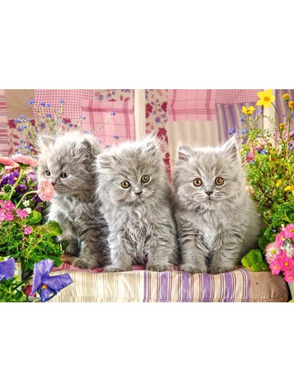 Пазлы 300 Три котенка