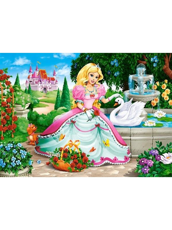 Пазлы 60 MIDI Принцесса и лебедь