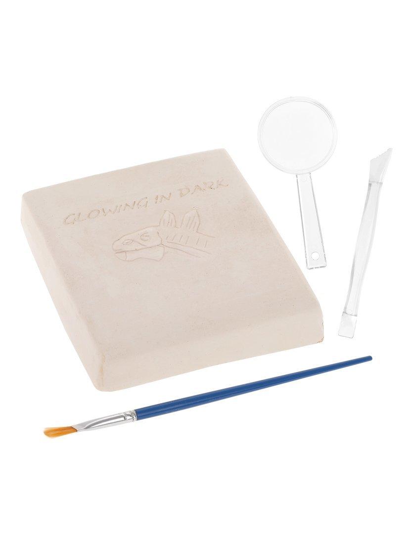 Набор раскопок Стегозавр, светится в темноте