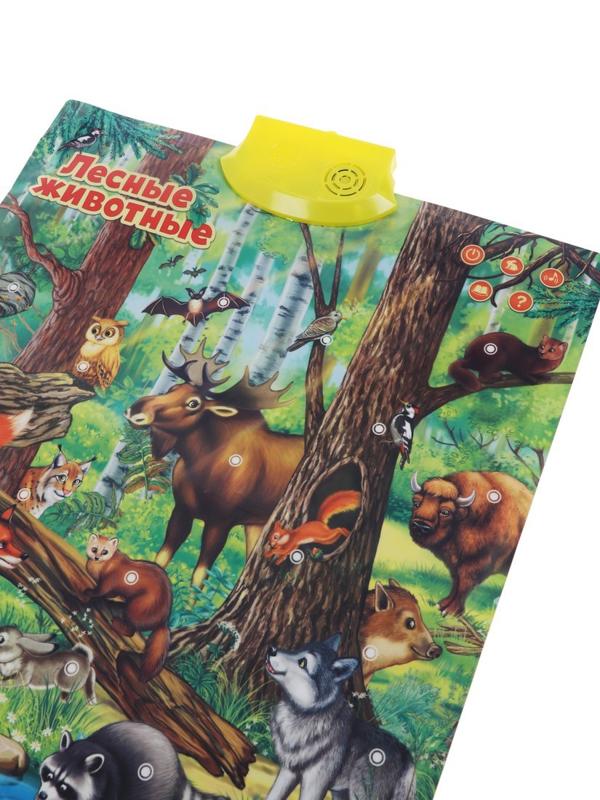 Обучающий плакат Лесные животные, звук, эл.пит. ААА*3 не вх.в компл., пакет