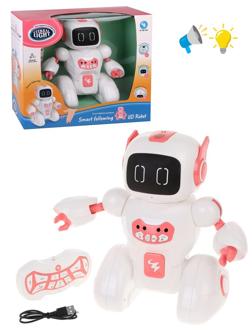 Робот, ИК управление, свет, звук, в комплекте: USB шнур, эл.пит.АА*2шт.не вх.в
комплект, коробка