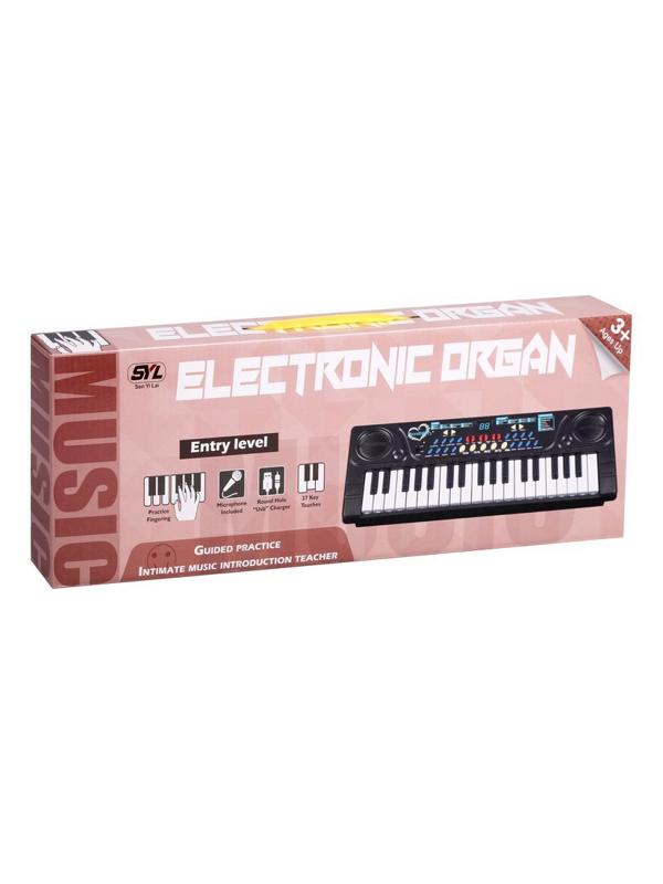 Музыкальный инструмент: Синтезатор, 37 клавиш, микрофон, USB кабель, эл. пит.
ААх3 не вх. в комплект, коробка