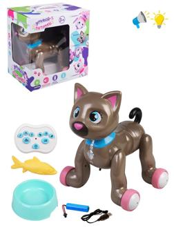 Кошка р/у, свет, звук, проектор, USB кабель, аккум., эл.пит.2*AA не вх.в
компл., кор.