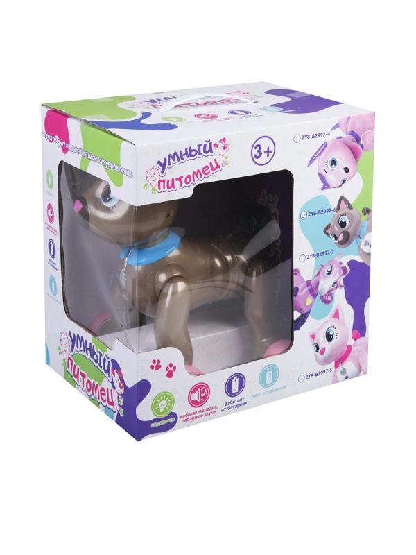 Кошка р/у, свет, звук, проектор, USB кабель, аккум., эл.пит.2*AA не вх.в
компл., кор.