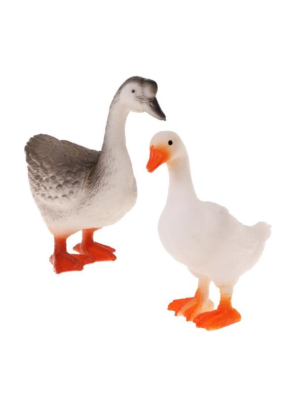Набор домашние птицы, 2 предм., блистер