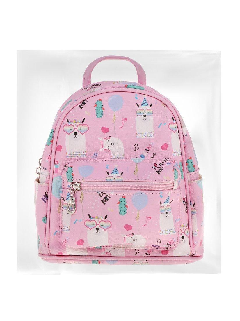 Рюкзак, пакет