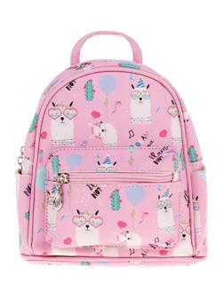 Рюкзак, пакет