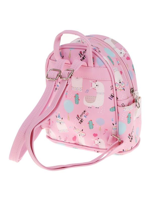 Рюкзак, пакет