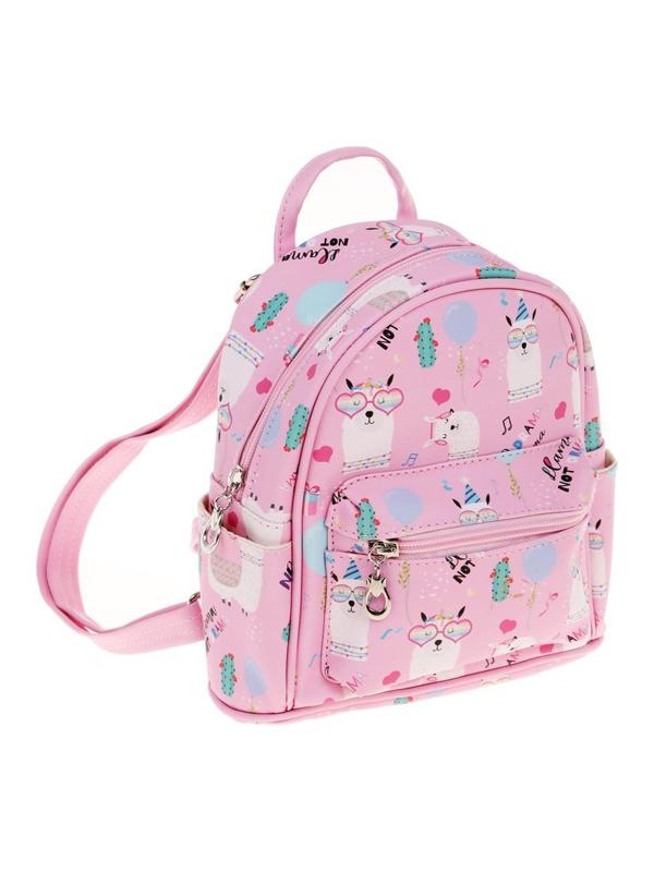 Рюкзак, пакет