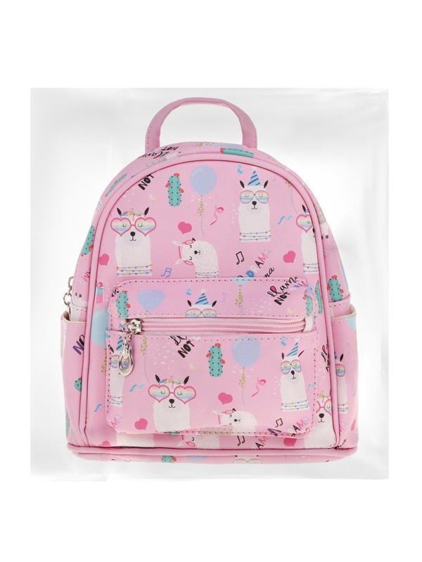 Рюкзак, пакет