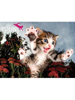 Пазл Super 3D Пушистый охотник, 100 дет.