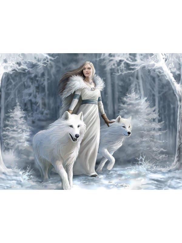 Пазл Super 3D Зимние стражи, 500 детал.