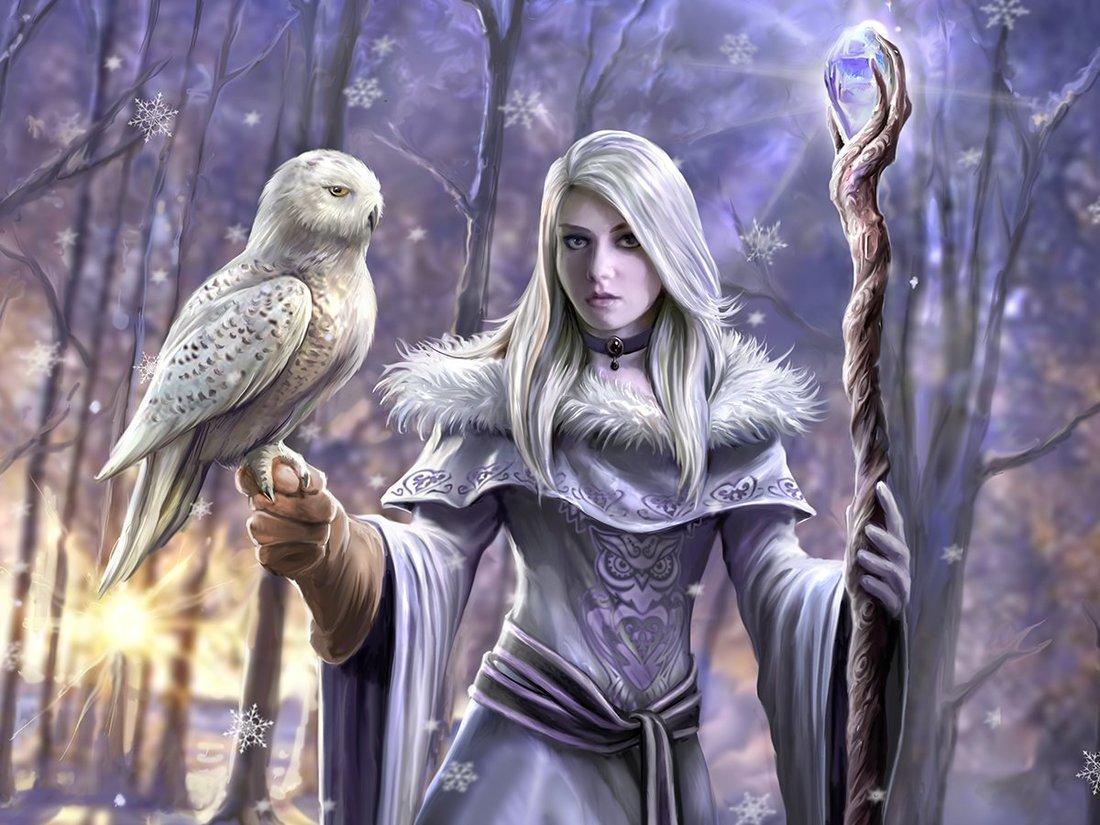 Пазл Super 3D Зимняя сова, 500 детал.