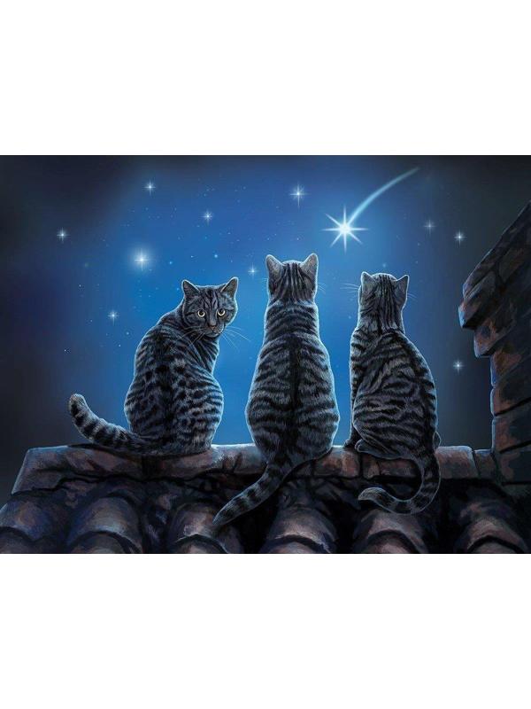 Пазл Super 3D Желание на звезду, 500 детал.