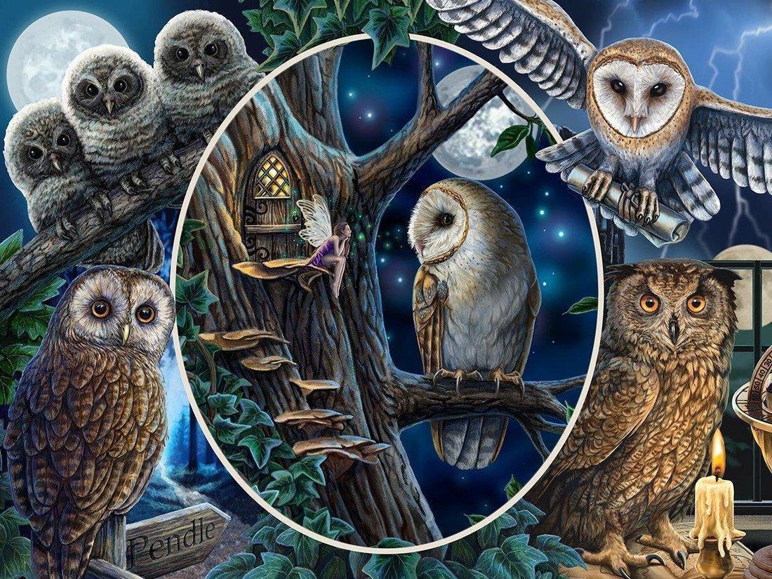 Пазл Super 3D Коллаж Совы, 500 детал.