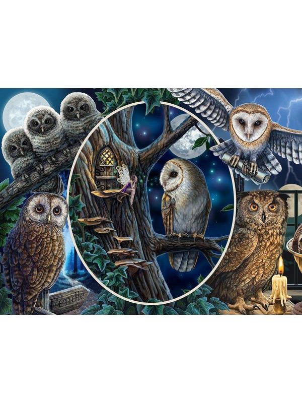 Пазл Super 3D Коллаж Совы, 500 детал.
