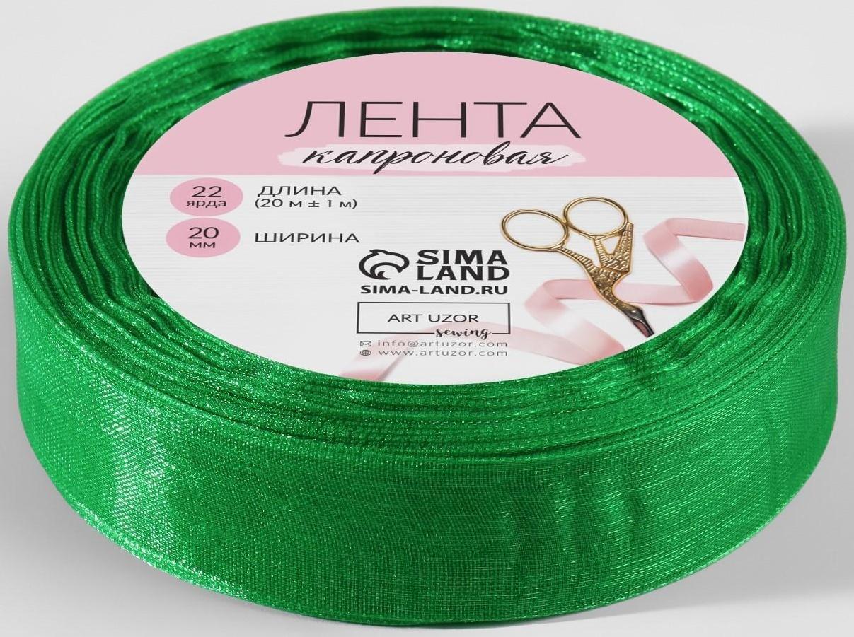 Лента капроновая, 20 мм, 20 ± 1 м, цвет зелёный №19