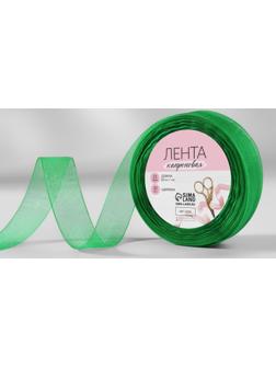 Лента капроновая, 20 мм, 20 ± 1 м, цвет зелёный №19