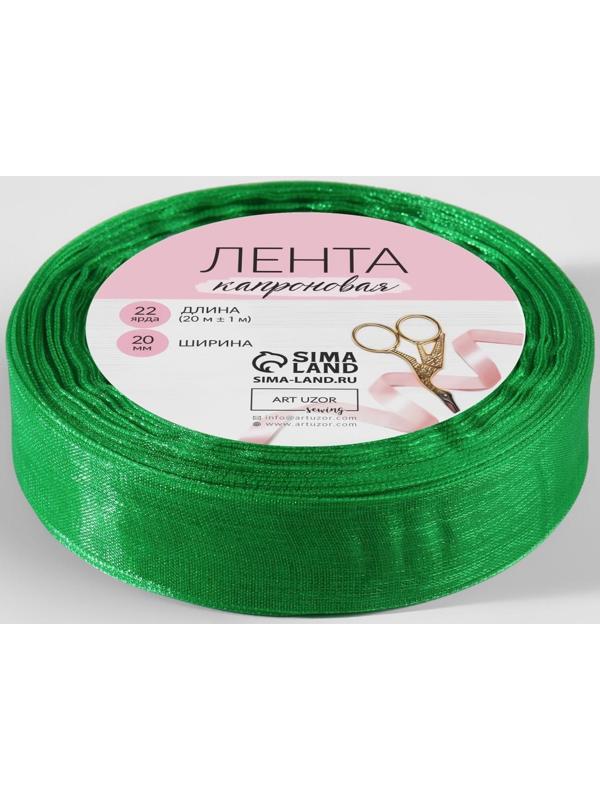 Лента капроновая, 20 мм, 20 ± 1 м, цвет зелёный №19