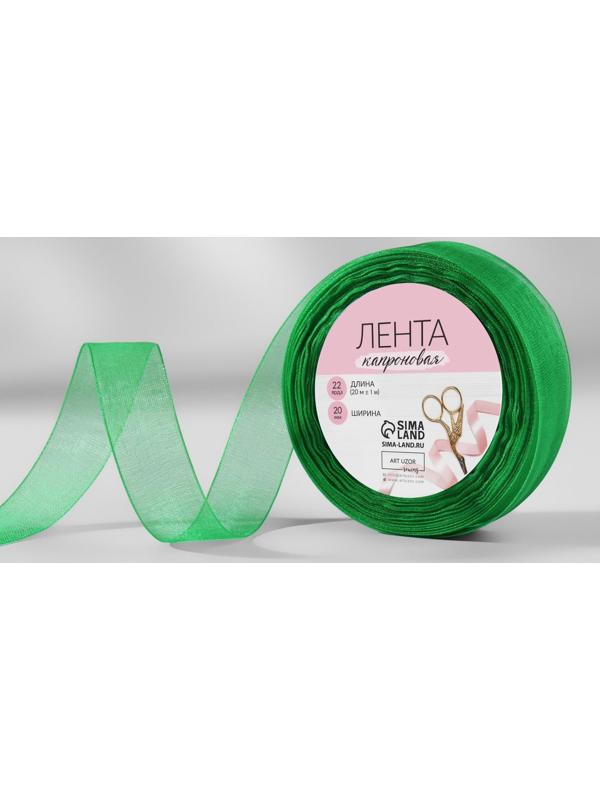 Лента капроновая, 20 мм, 20 ± 1 м, цвет зелёный №19