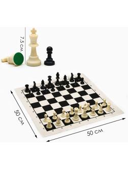 Шахматы в пакете, фигуры (пешка h-4.5 см, ферзь h-7.5 см), поле 50 х 50 см